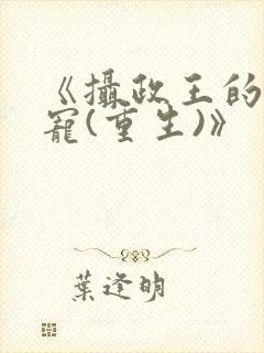 《摄政王的心头宠(重生)》