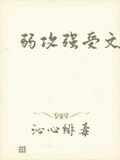弱攻强受文推荐封面