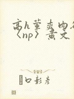 高h荤爽肉欲文〈np〉黄文