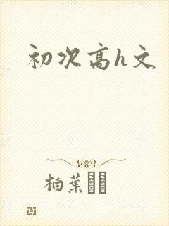 初次高h文封面