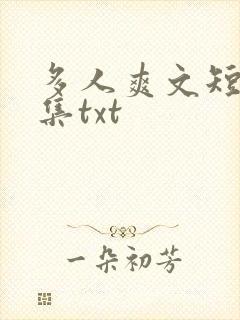 多人爽文短篇合集txt