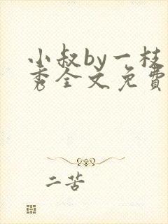 小叔by一枝独秀全文免费阅读笔趣阁最