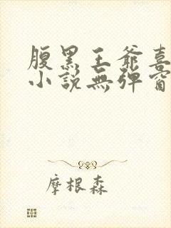 腹黑王爷喜当爹小说无弹窗封面