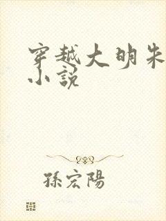 穿越大明朱雄英小说