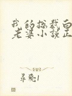 我的总裁白富美老婆小说正版