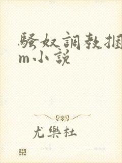 骚奴调教捆绑sm小说封面