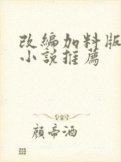 改编加料版同人小说推荐