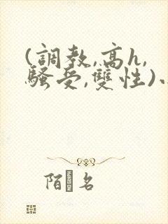 (调教,高h,骚受,双性)小说