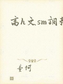 高h文sm调教