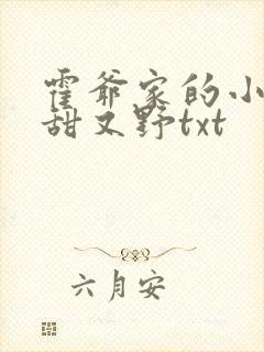 霍爷家的小祖宗甜又野txt