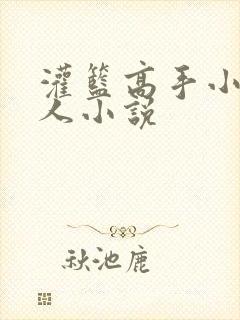 灌篮高手小说同人小说