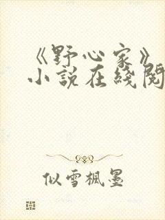 《野心家》原著小说在线阅读