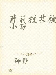 萝莉校花被插的小说