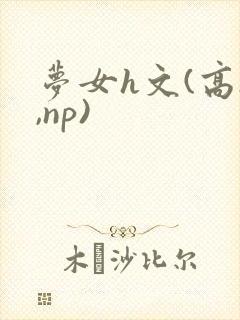 梦女h文(高h,np)
