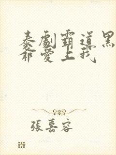 泰剧霸道黑帮少爷爱上我