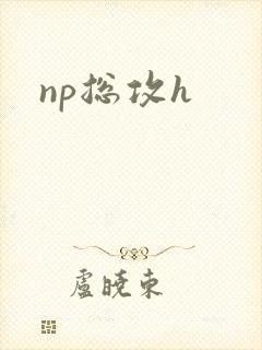 np总攻h