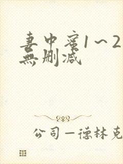 妻中蜜1～2集无删减