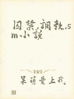 囚禁,调教,sm小说封面