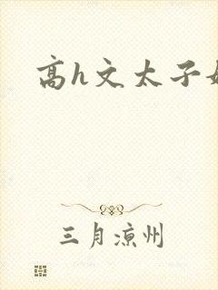 高h文太子妃封面