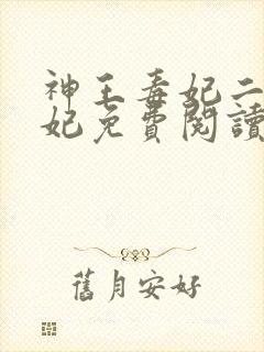 神王毒妃二嫁王妃免费阅读全文