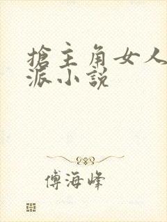 抢主角女人的反派小说