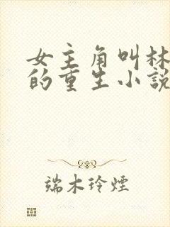 女主角叫林清婉的重生小说