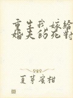 重生我嫁给了未婚夫的死对头