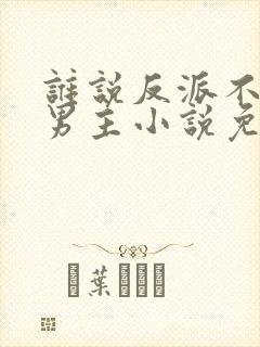 谁说反派不能当男主小说免费