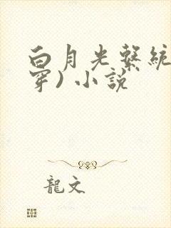 白月光系统(快穿) 小说封面