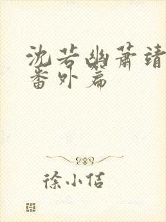 沈若幽萧靖和离番外篇