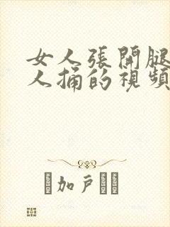 女人张开腿让男人捅的视频