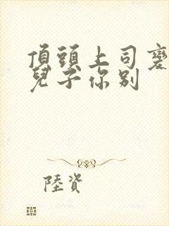 顶头上司变后妈儿子你别封面