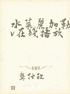 水菜丽加勒比av在线播放