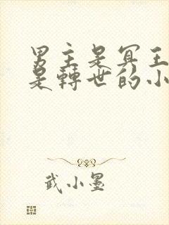 男主是冥王女主是转世的小说封面