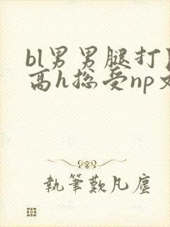 bl男男腿打开高h总受np文