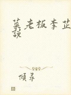 菜老板李芷珊小说封面