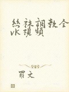 丝袜调教全包丨vk视频