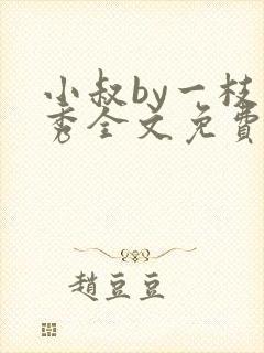 小叔by一枝独秀全文免费阅读笔趣阁最