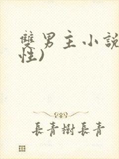 双男主小说(双性)