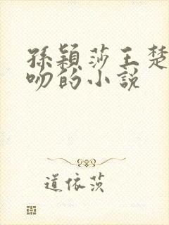 孙颖莎王楚钦亲吻的小说