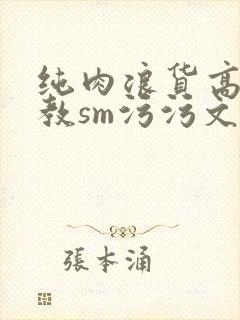 纯肉浪货高h调教sm污污文封面