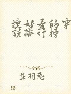 搜好看的穿越小说排行榜封面