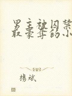 男主被囚禁被强取豪夺的小说封面