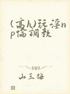 (高h)玩淫np伦调教封面