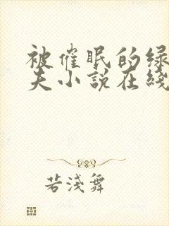 被催眠的绿帽夫夫小说在线阅读