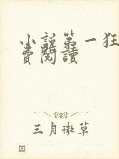 小说第一狂婿免费阅读