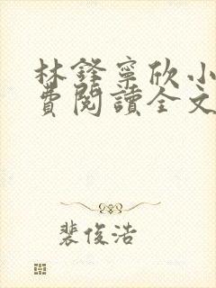 林锋宁欣小说免费阅读全文