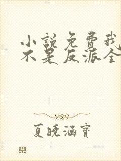 小说免费我真的不是反派全文阅读