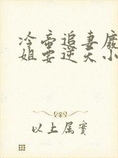 冷帝追妻废材小姐要逆天小说完整