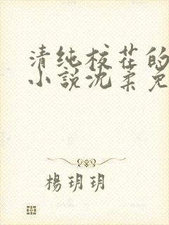 清纯校花的日常小说沈柔免费阅读